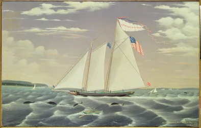 Schooner 